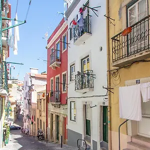 Typical Santa Catarina By Homing Apartamento